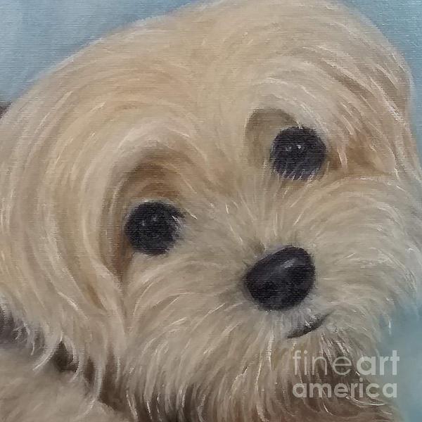 DeerRunNotary's tweet photo. New artwork for sale! - "Maddie" - https://t.co/wk7eevpc6c @fineartamerica https://t.co/PaVoIL6Tnf
