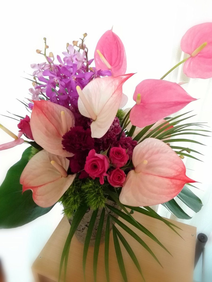 開店のお祝い花。

大変な時期での開店。
華やかになるようにとのご依頼でした。

#フラワーアレンジメント#花好きと繋がりたい#開店祝い