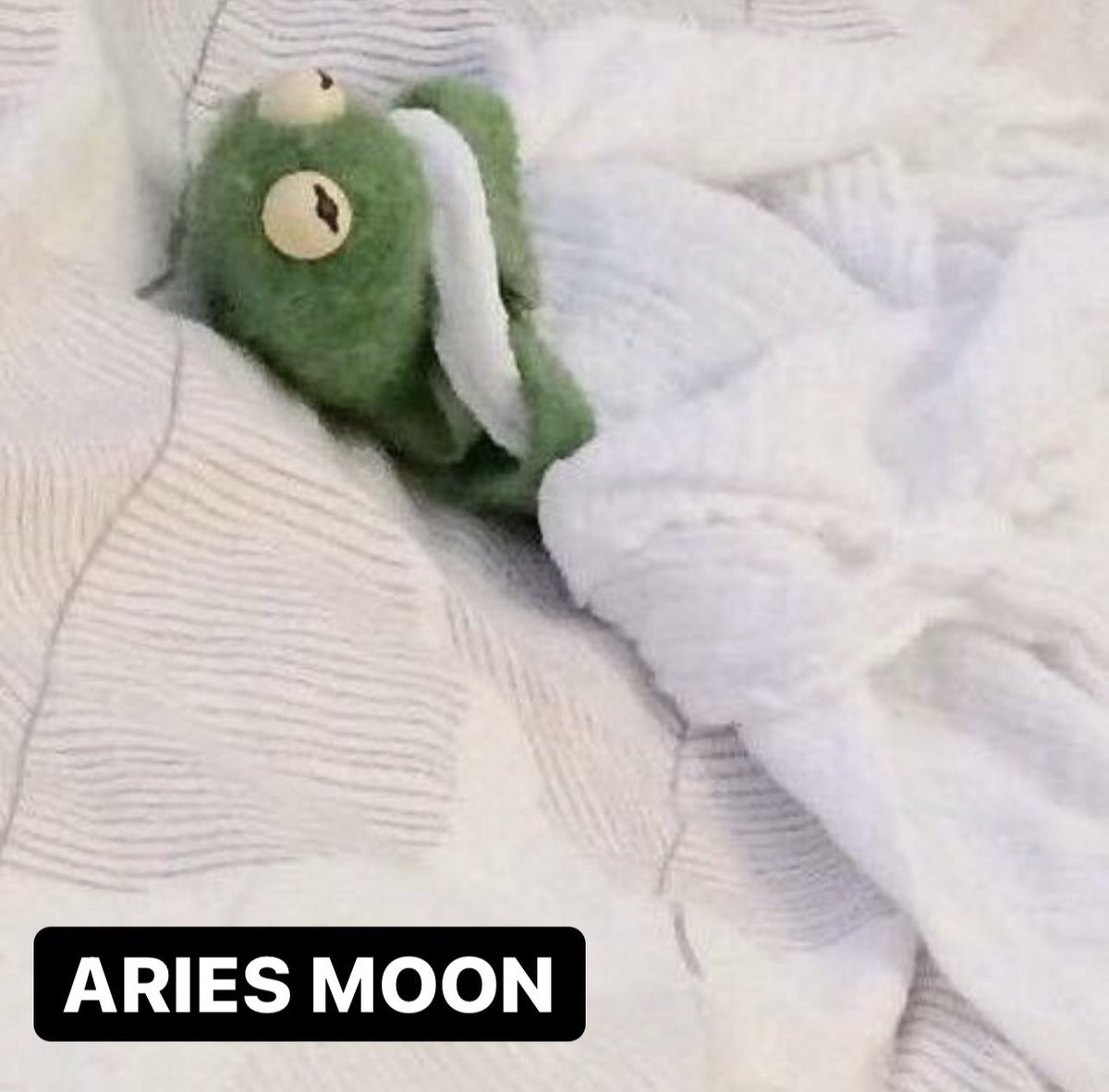 morgsbien's tweet photo. @hanniebegood kermit is me. i am kermit https://t.co/iqAtcXE2fQ