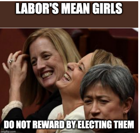 Jane9873's tweet photo. #AustraliaVotes Is this the type of people we need taking senior roles in an Albanese Govt? Even the unions are supporting Kimberley Kitching and the bullying claims. Disgrace on the ALP. You can run, Albo, but you cannot hide from this. https://t.co/VTYCftW60T