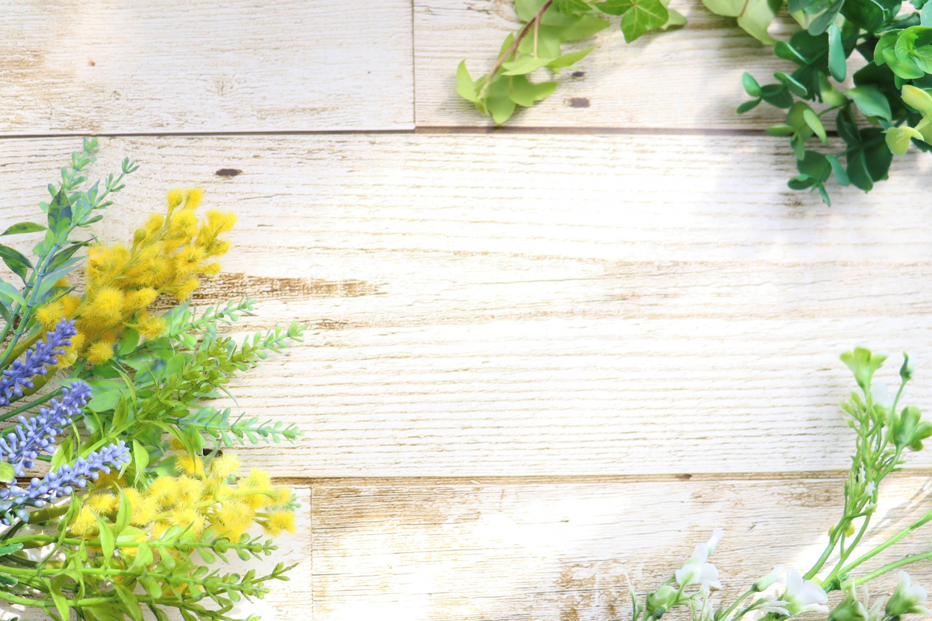 Acワークス株式会社 新着写真からおすすめをピックアップ 春らしい優しいフレームですね T Co Yd2vztcxl5 写真ac 新着写真 無料 フリー素材 植物フレーム T Co 1zk1cjgbnl Twitter Acワークス株式会社 新着写真からおすすめをピックアップ 春らしい優しいフレームですね T Co Yd2vztcxl5 写真ac 新着写真 無料 フリー素材 植物フレーム T Co 1zk1cjgbnl Twitter