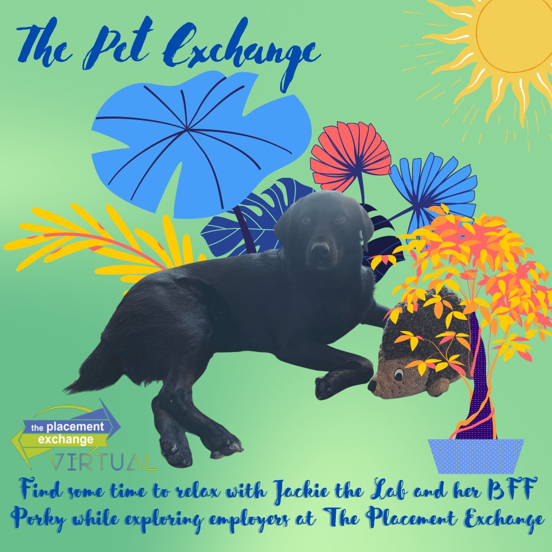 365TPE's tweet photo. More loving pets - thank you for sharing them with us! #TPEVirtual https://t.co/7wgQm7u55H