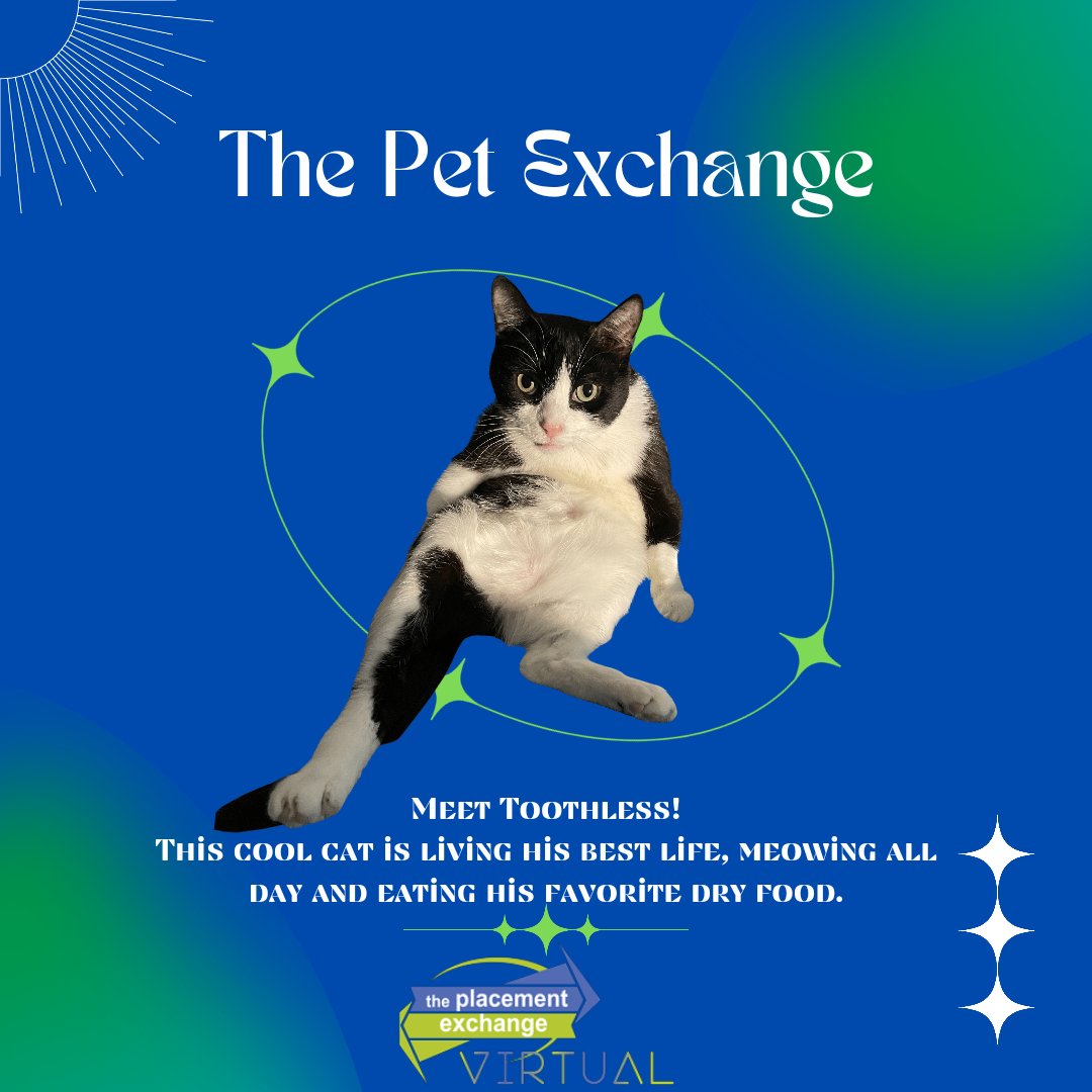 More loving pets - thank you for sharing them with us! #TPEVirtual