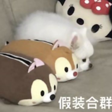 @though1whatever 我也想有人来锤我 https://t.co/RDjsXap9lx