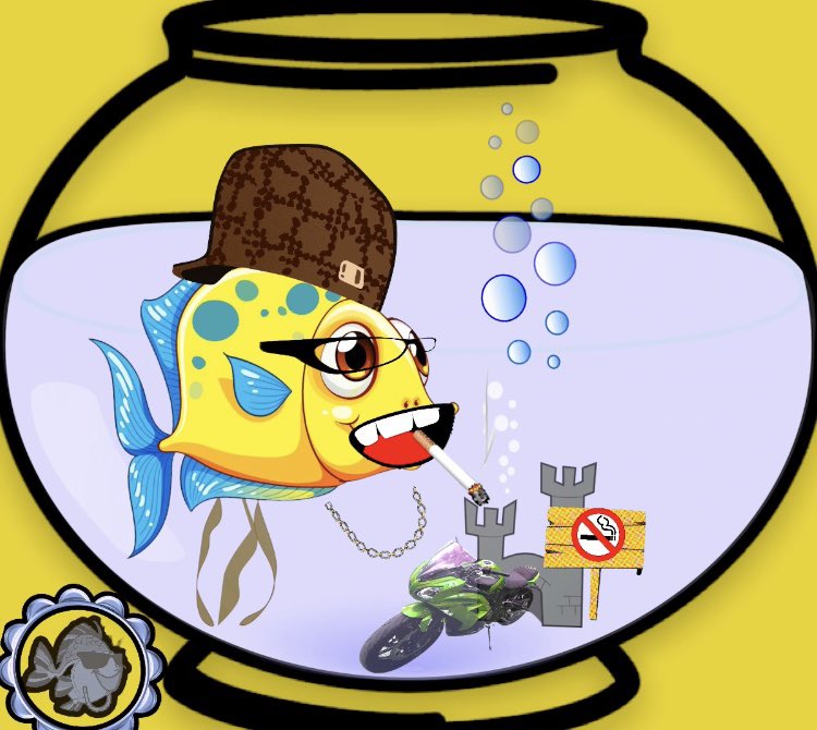 FunkyFishFam's tweet photo. @OBracx https://t.co/yA6uy6iy5B