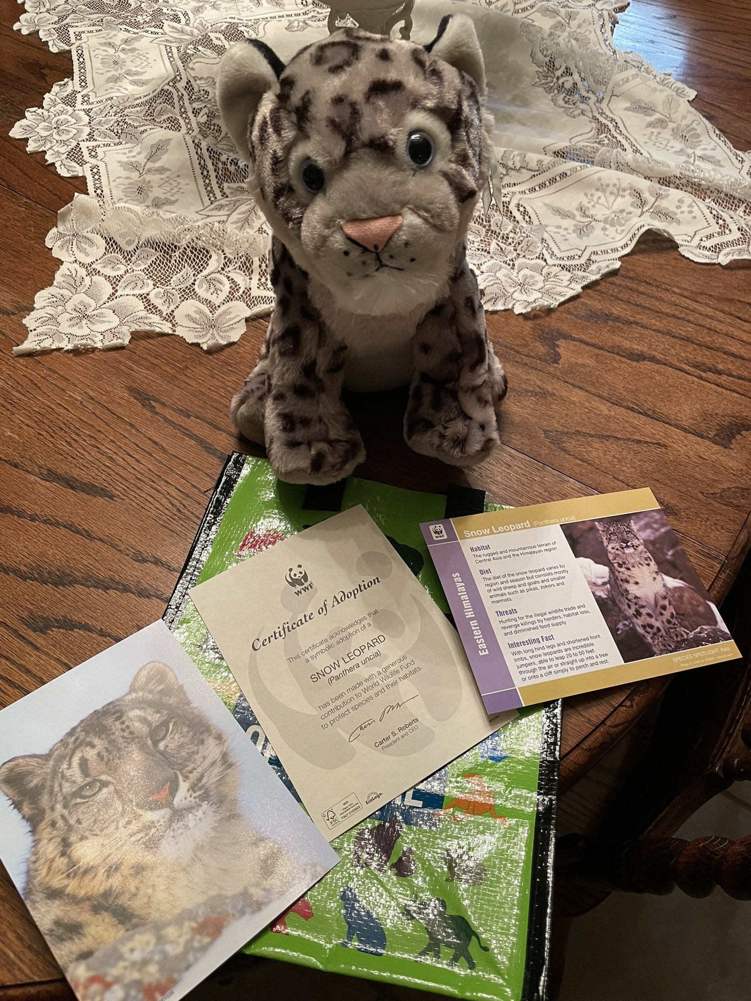 Jetropolis.algo on Twitter: "I received my @WWF Snow Leopard adoption