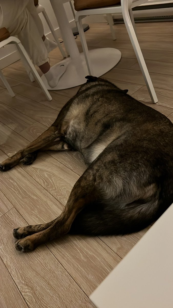 TOM MILLER tweet media