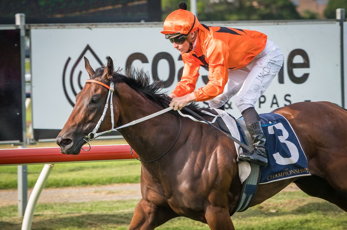 newcastleraces_'s tweet photo. Dominant win by #NJC @LeesKris trained #NeverTalk (@mcacajamez) in R7 Polytrack Provincial-Midway Championships Qualifier (1400m). 2d Mayrose (J Collett), 3d Pippali (W Pike), 4th Contributingfactor (C Reith). RT 1:24.11 (last 600m 33.57). Margins 3.25L x 1/2hd @ChampionshipsRR https://t.co/gbGkn2Duq3