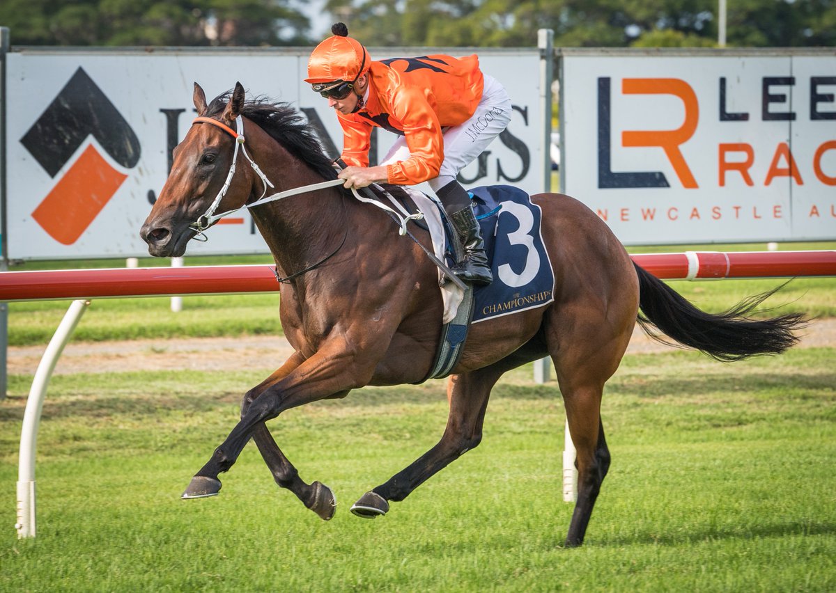 newcastleraces_'s tweet photo. Dominant win by #NJC @LeesKris trained #NeverTalk (@mcacajamez) in R7 Polytrack Provincial-Midway Championships Qualifier (1400m). 2d Mayrose (J Collett), 3d Pippali (W Pike), 4th Contributingfactor (C Reith). RT 1:24.11 (last 600m 33.57). Margins 3.25L x 1/2hd @ChampionshipsRR https://t.co/gbGkn2Duq3