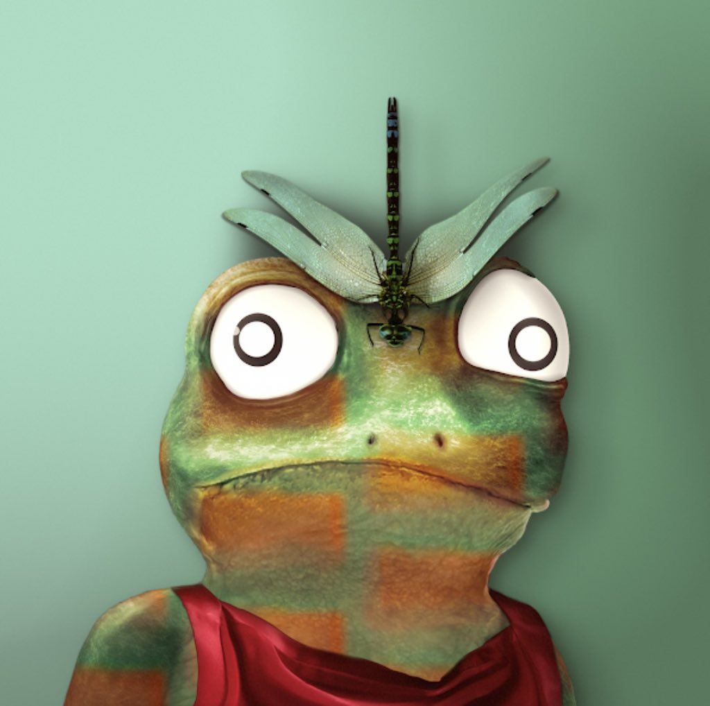 special_eric's tweet photo. Is #frogsfollowfrogs a thing? I want to follow all #notoriousfrogs of @Frogland_io ! 👇post yours below👇 Ribbit !🐸 https://t.co/33lV5hl4I1