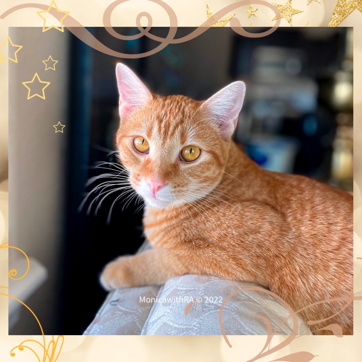 Made with adobe.com/go/psx