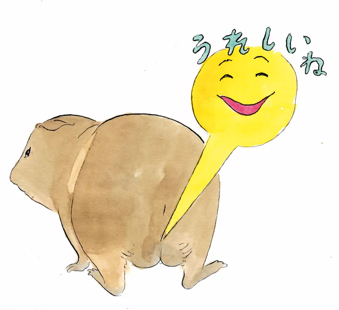 動物の股間には嬉しさが憩う 