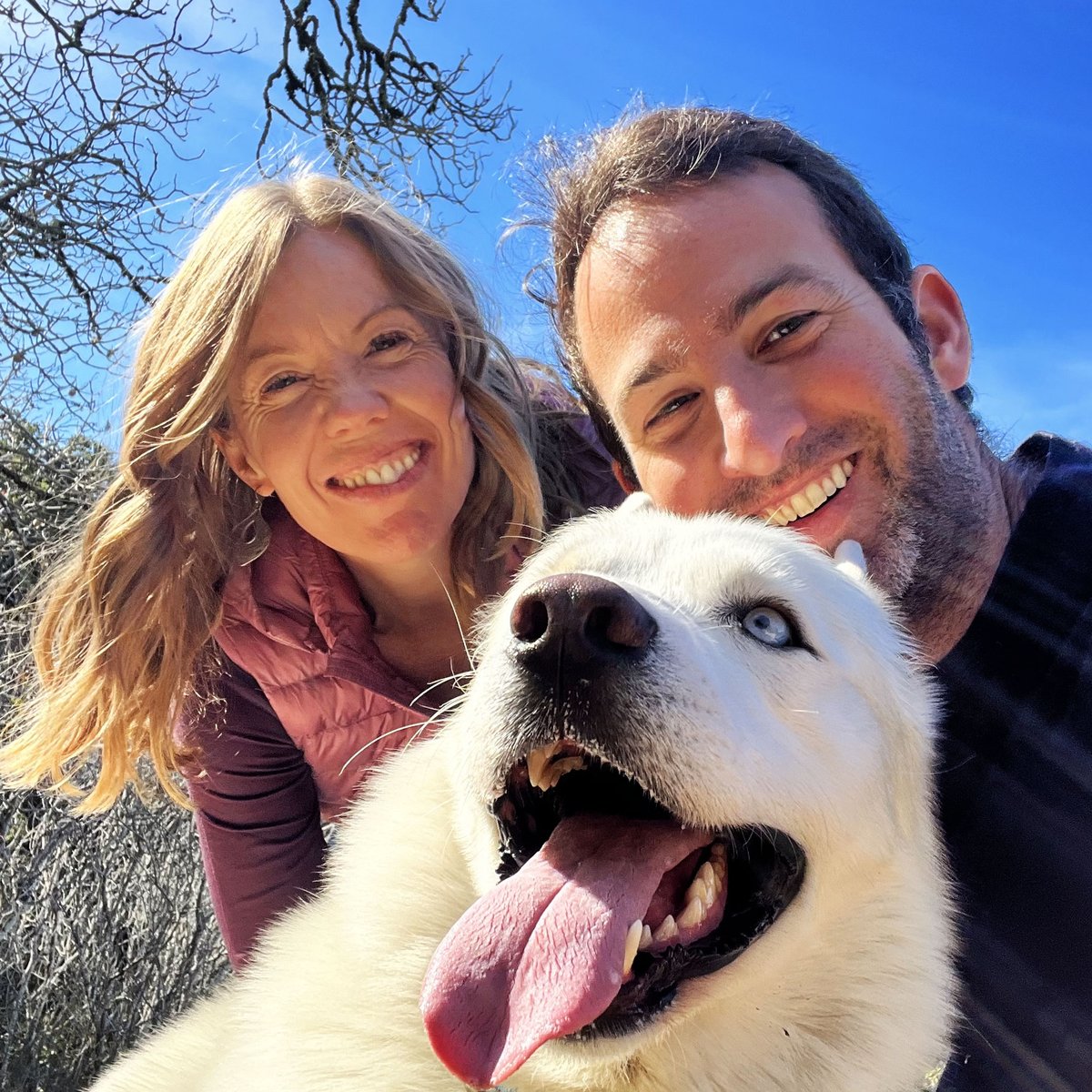 FenixLumiere's tweet photo. Who Wants to Be Free and Happy Like Me?
We all do.
But I know it’s not as easy for you humans to feel free and happy, as it is for us floofs!
So stop taking yourself so seriously and be free like me!
Want more awesome free #HappyCoaching from me?!
Go to https://t.co/FHCuLloUwy 💸 https://t.co/XiQWSvhNr1