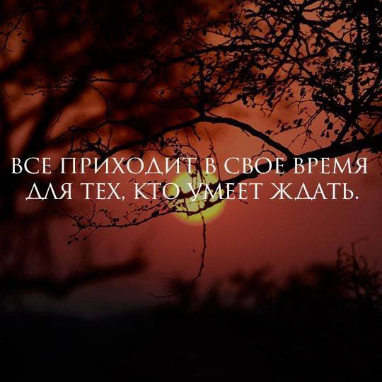 Мудрость веков (@delaisam) on Twitter photo 