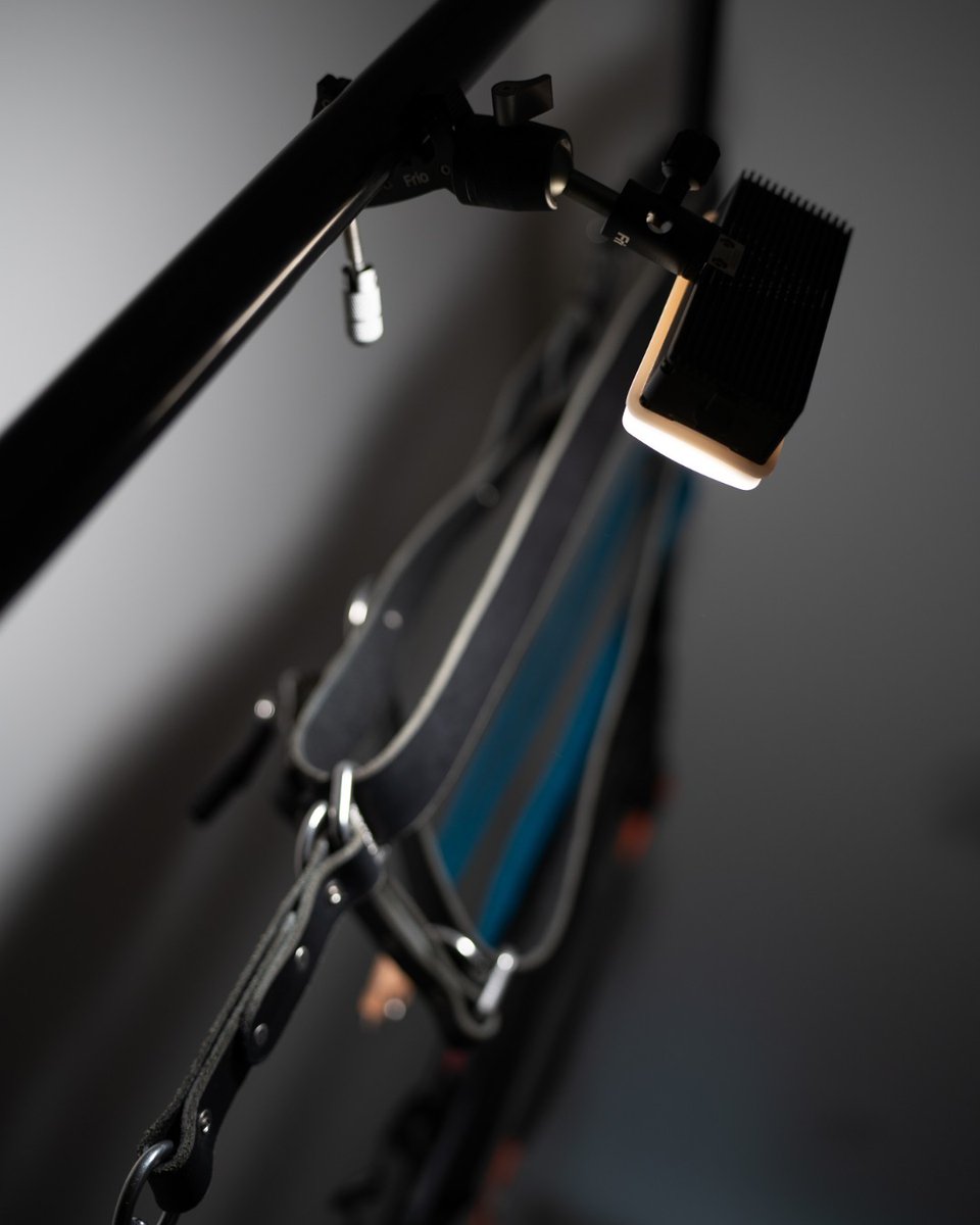 FrioPhoto tweet media