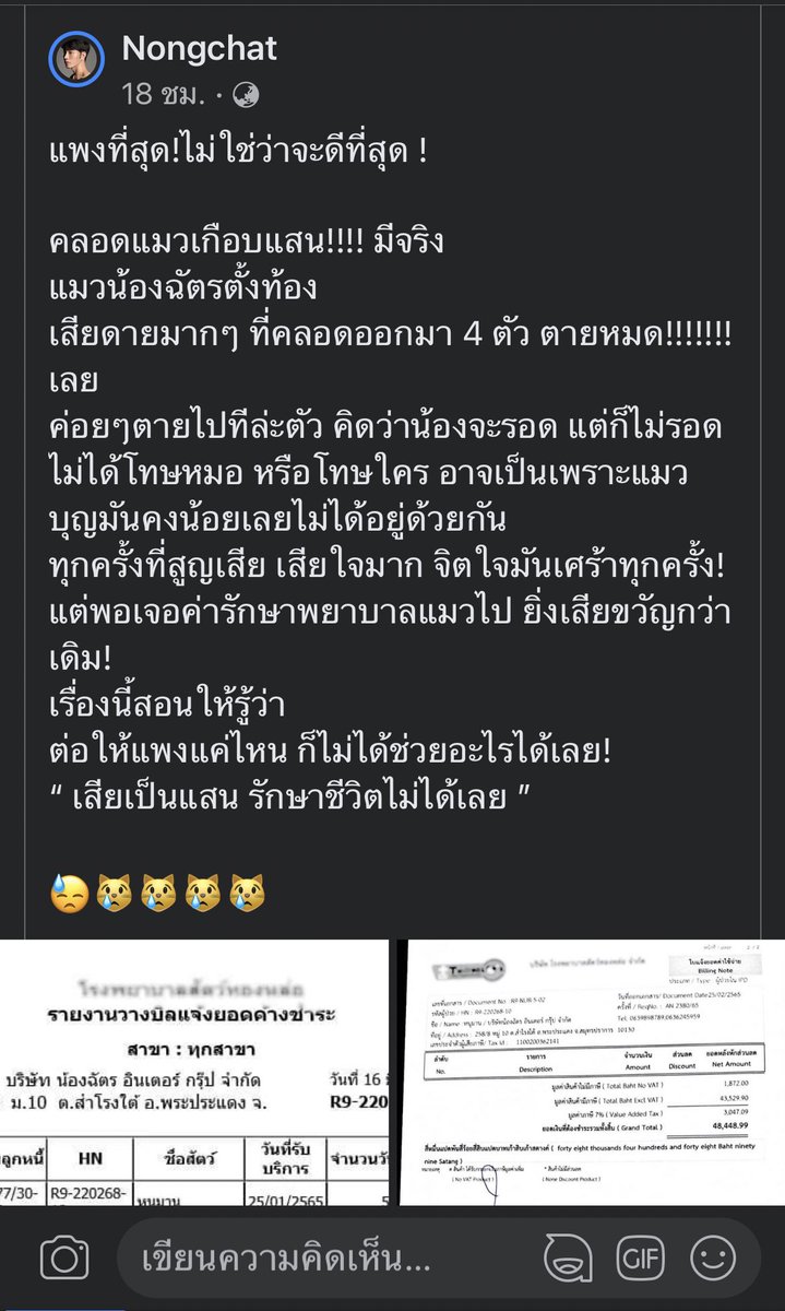 RadchaW's tweet photo. เจอดราม่า nongchat แล้วคอมเม้นนึง ถูกใจจนขอเอามาแชร์ครับ 😊

ปล. เกือบแสนคืออยู่รพ 50วันอ่ะ แม่แมว 1 ลูก 4 เหมือนจะเซนเซอร์ชื่อรพ.แต่ก็อ่านออกอยู่ดี https://t.co/h9Mid63sXi