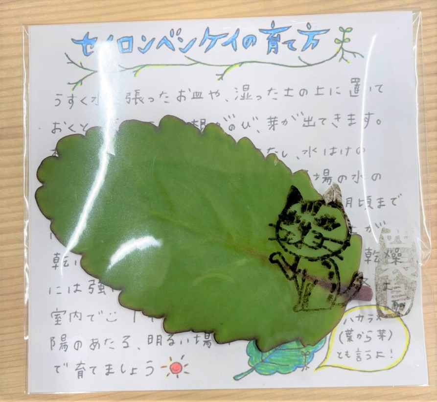 幸せの葉っぱ Twitter Search Twitter