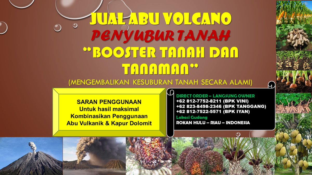 SerigalaManis's tweet photo. 0812-7752-8211 Produsen Pupuk Kelapa Sawit Abu Vulcanic (Pembenah Tanah Perkebunan) ORIGINAL https://t.co/8jzA4i2o8D

#rohul, #rokanhulu, #riau, #pupuksawit, #pembenahtanah, #pembenahtanahsawit, #jualabuvulkanik, #abuvolcano, #abuvulkanik, #rabuk, #pupuk,  #pupukorganik, #sawit https://t.co/ohqE7pNPCB