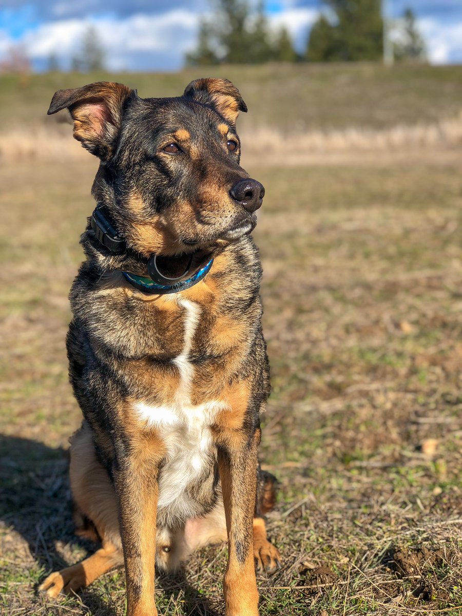 roamwiththem tweet media