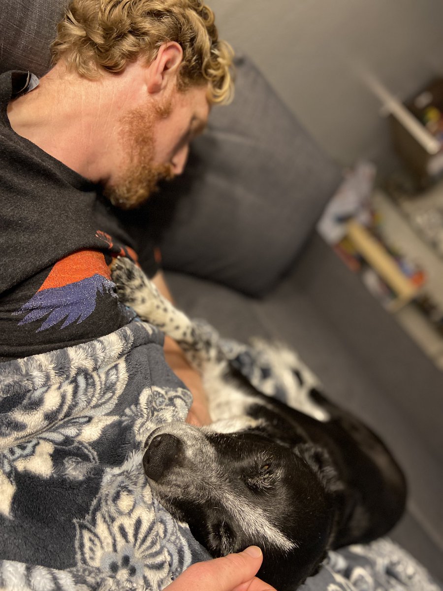 ashmarceen's tweet photo. My boyzzzz. 🐶 ❤️ https://t.co/V0eI1JUCqZ
