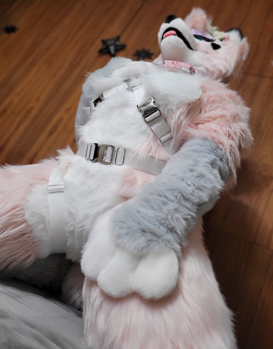 🎀 Soft Baked Brat 🎀 18+ tweet media