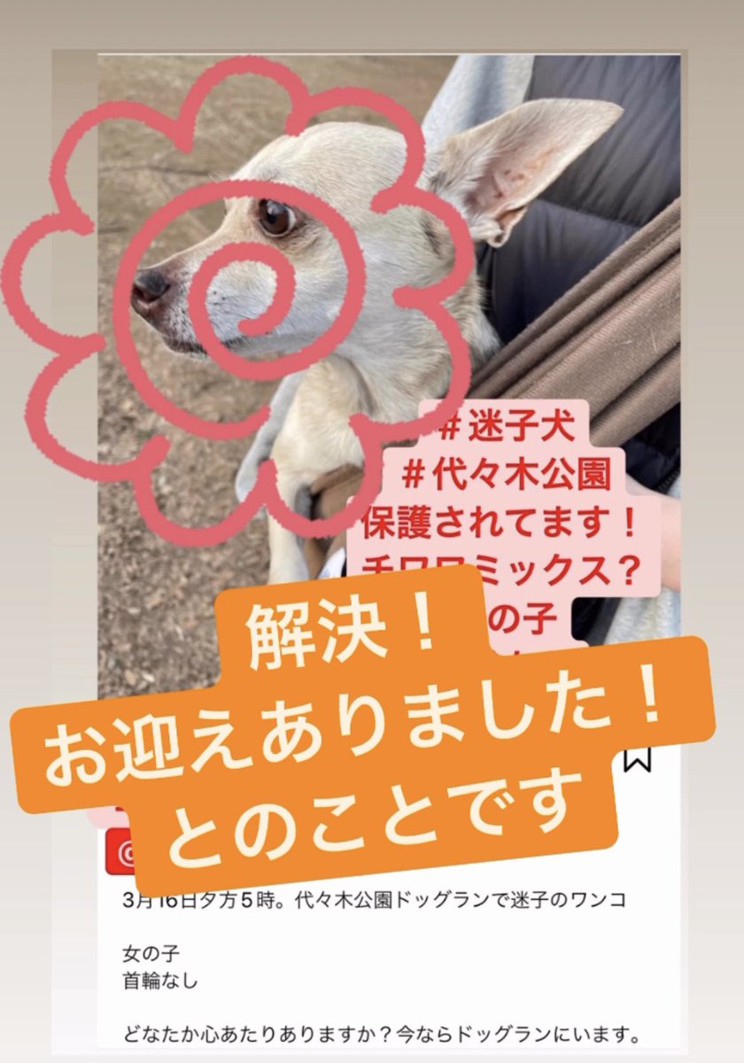 Mikity M Chocoblanc06 Twitter