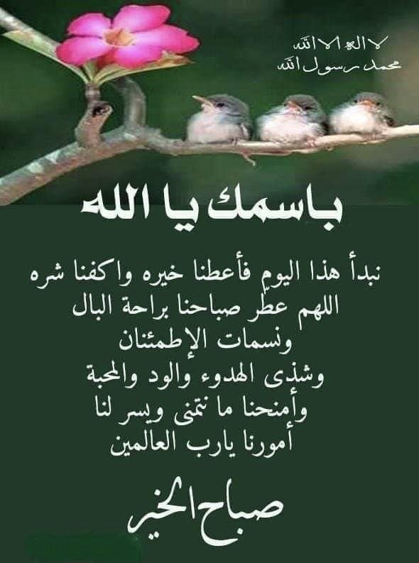 aiysh2010's tweet photo. https://t.co/ETVmLH1lVb