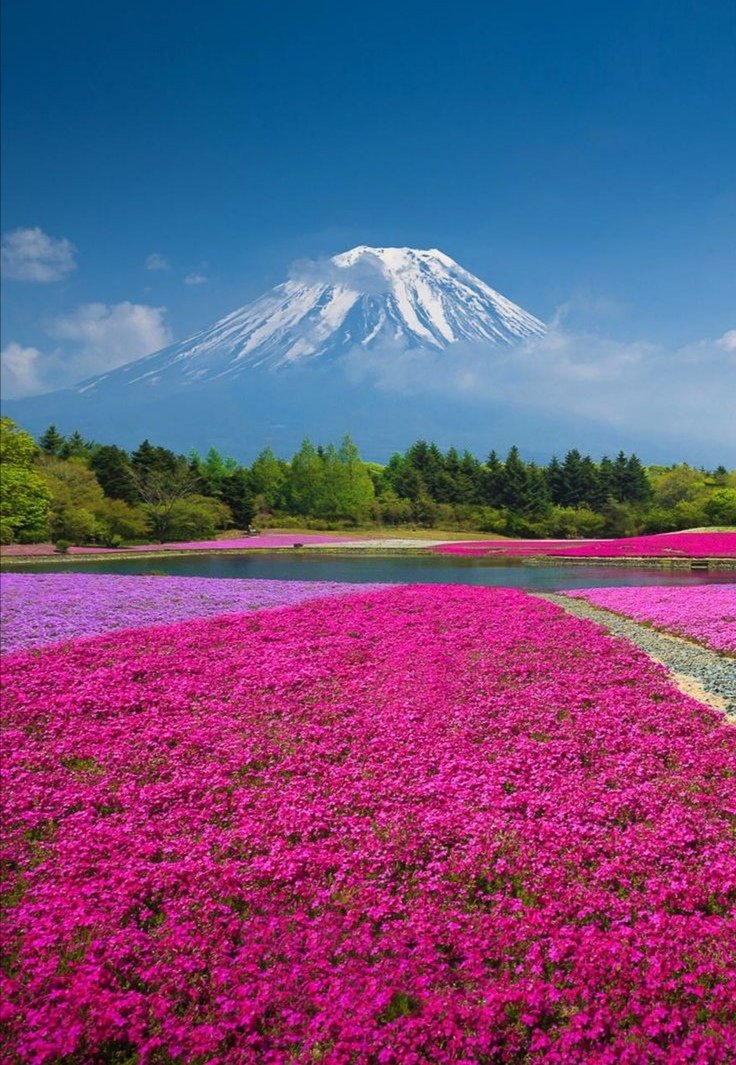 gauthie74757302's tweet photo. Good morning everyone, I wish you a pleasant thursday of happiness, enjoy a wonderful day my dear friends ☕🕊️🌸🌺💙💗🤗 https://t.co/Twzm3MY6jq