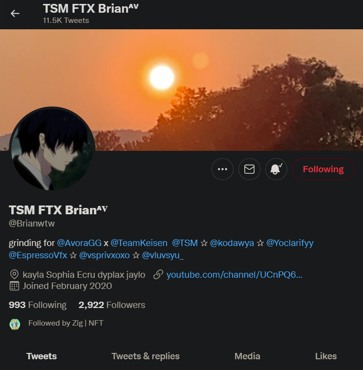 Chrysior's tweet photo. @3Hjames @Brianwtw @ZigNFTS Done ✅ https://t.co/Ffp1ueJWXg