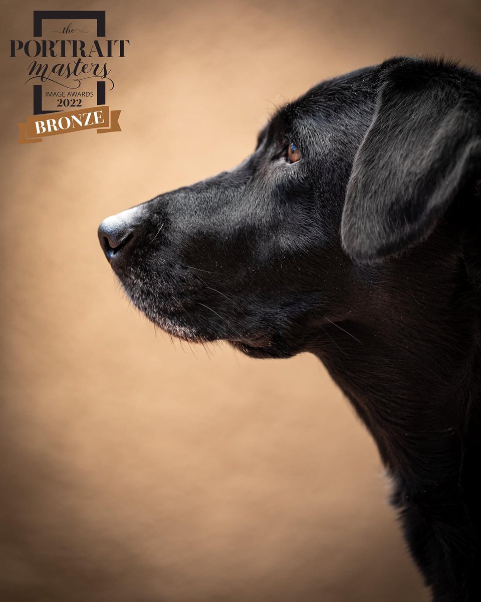 Won an award this week for one of my photos. Pretty stoked.