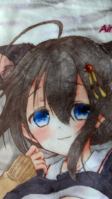 ブランケットとかも出します。コミケ限定だったミニタペストリーとかも多分... 