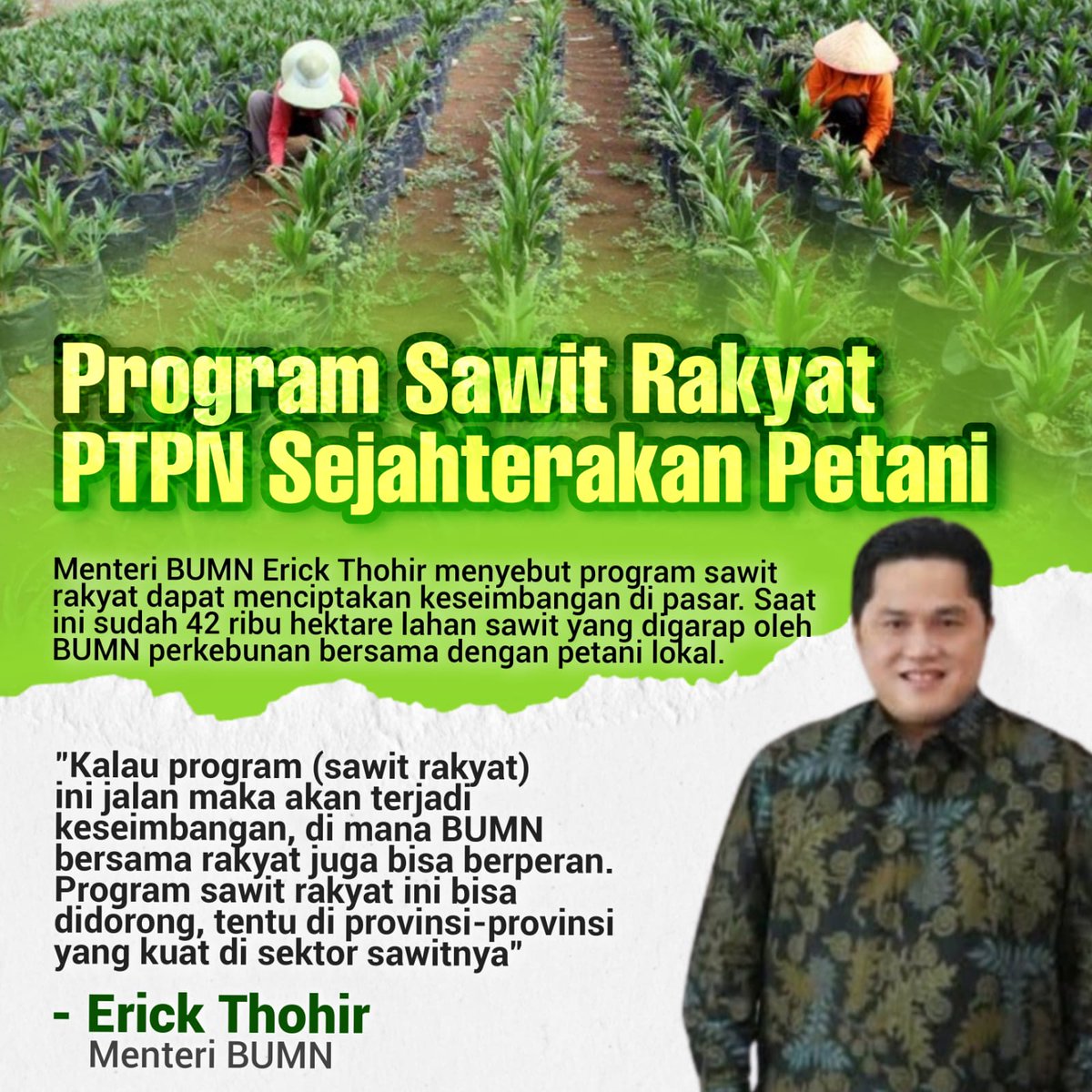 1Misnah's tweet photo. Provinsi yang kuat pada sawit yang dijadikan untuk keseimbangan pada masyarakat yang memiliki potensi sawit yang baik.. Mudah2an program ini menjadi nilai tambah bagi petani sawit, 
@erickthohir 

Sejahterakan Petani

#SawitRakyat https://t.co/p9Xsn7VAyw