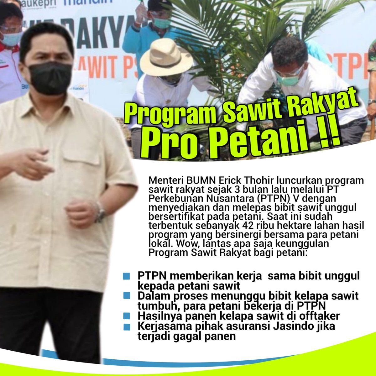 1Misnah's tweet photo. Program yang akan di dorong untuk petani sawit dari Kementerian BUMN memberikan kegembiraan pada petani sawit.  Mudah2an sawit menjadi pengembang bagi kebutuhan masyarakat, 
@erickthohir 

Sejahterakan Petani

#SawitRakyat https://t.co/GpEjpWWRYf