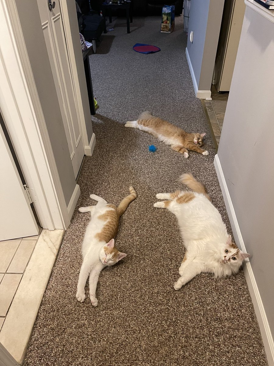 crispycam323's tweet photo. my sons are the best. that’s all. bye. https://t.co/RdaPcePx01