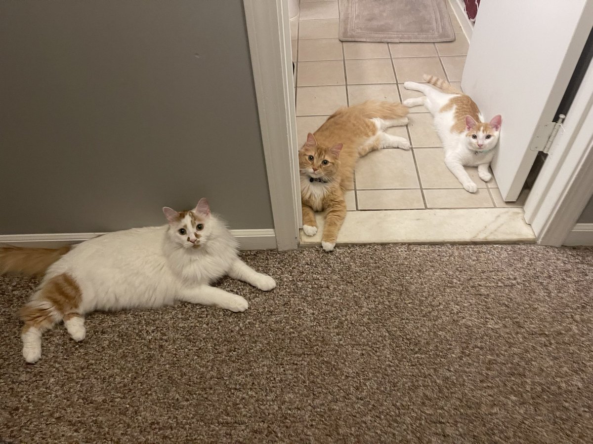 crispycam323's tweet photo. my sons are the best. that’s all. bye. https://t.co/RdaPcePx01