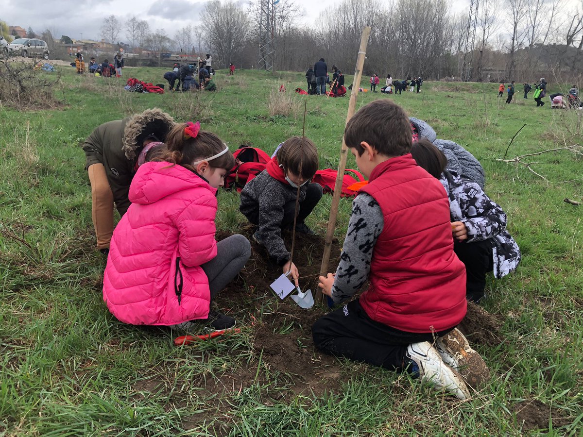 ie_martamata's tweet photo. Avui els nens i nenes de 1r hem celebrat la festa de l'arbre a Torelló. Hem plantat Arbres de ribera i ens han regalat una caixa niu feta pels voluntaris del museu de la Torneria. Un matí diferent envoltat de natura. #PriIEMM https://t.co/MM8qRhPJLd