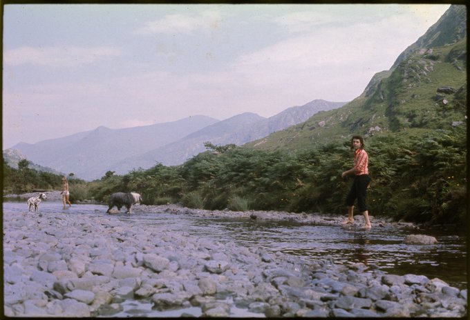 FOC-8ErWYA0RnAD?format=jpg&name=small