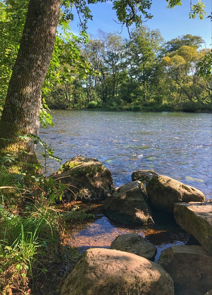 rainbow_explode's tweet image. mentally here reading a book 📜🌿☀️🌸