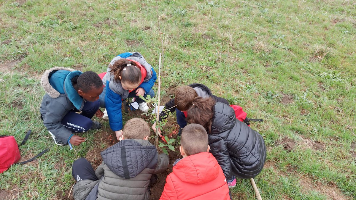 ie_martamata's tweet photo. Avui els nens i nenes de 1r hem celebrat la festa de l'arbre a Torelló. Hem plantat Arbres de ribera i ens han regalat una caixa niu feta pels voluntaris del museu de la Torneria. Un matí diferent envoltat de natura. #PriIEMM https://t.co/MM8qRhPJLd
