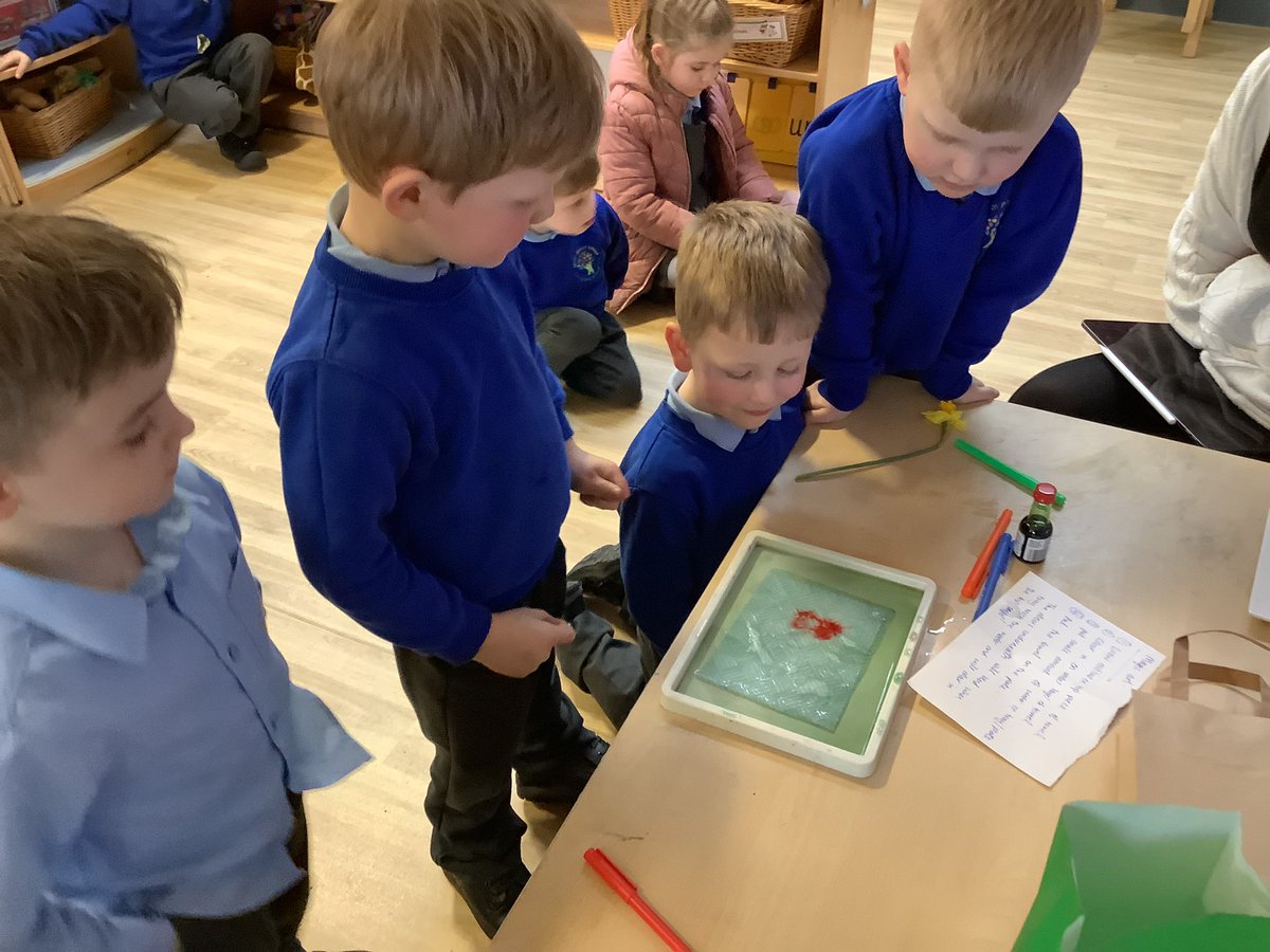 Billie Bailey tweet media