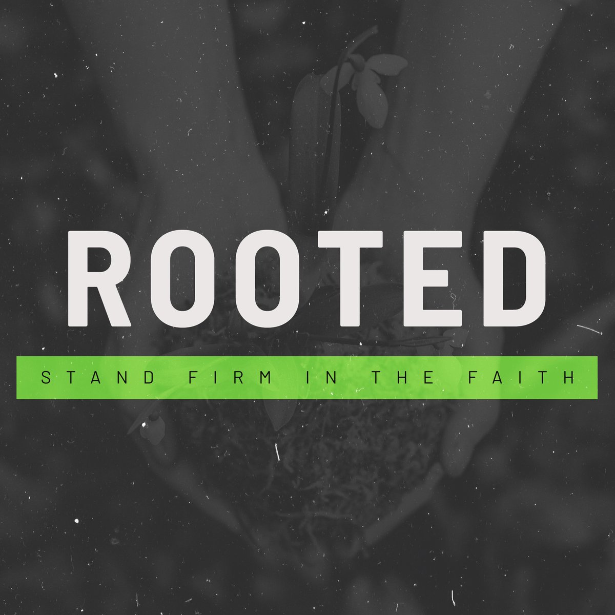 FaithpointUM's tweet photo. The Patience of Root Work - https://t.co/9yx5UPFXCC https://t.co/r55nfjWNLm