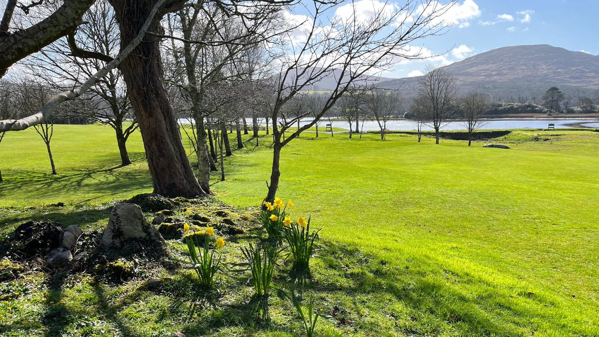 If it's green you be wanting on #stpatricksday, we have plenty! 😉
Happy St Patrick's Day from everyone at #kenmaregolfclub ☘️☘️
#kenmare #kenmaregolf #golf #golfcourse #golfinkerry