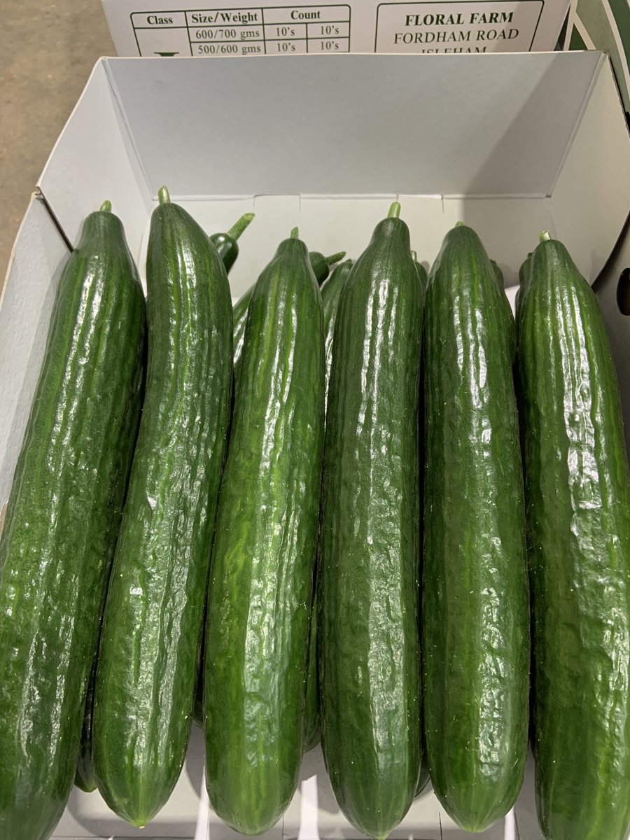 Taste local cucumbers 🥒 ⁦<a href="/CaffarelliMc/">EAST ANGLIA CUCUMBERS🥒🥒🥒🥒🥒🥒🥒</a>⁩