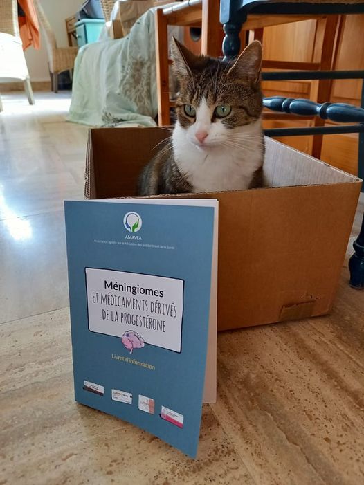 AMAVEA1's tweet photo. Notre LIVRET SUR LES MÉNINGIOMES ET LES PROGESTATIFS à nouveau disponible. Merci au Pr Johan Pallud du @GhuParis pour le soutien, la relecture, etc... 
✅Vous pouvez le recevoir gratuitement en nous fournissant vos cordonnées postales à ce mail : contact@amavea.org https://t.co/q71q9uoEum