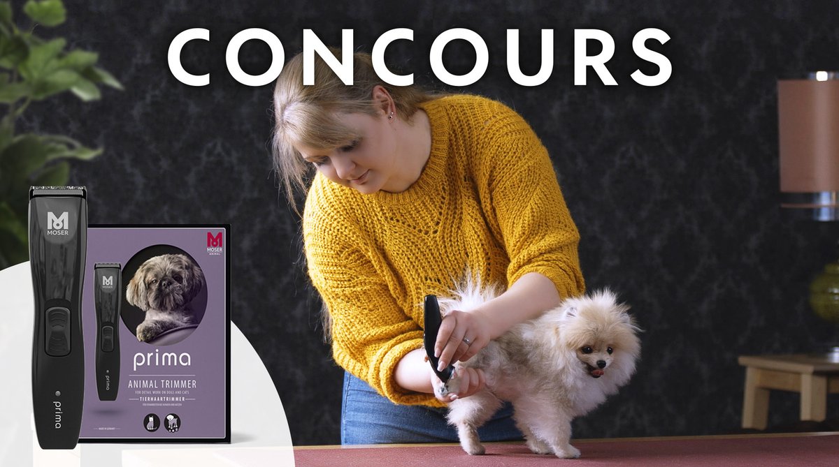 Truffaut's tweet photo. 📍#Concours
Avec l’arrivée du printemps, il est temps de chouchouter vos animaux ! Faîtes-leur une beauté en tentant de remporter l’une des 10 tondeuses MOSER Animal mises en jeu ! 💖
Pour participer :
🐶 RT + Follow @Truffaut
TAS le 23/03 🎊🎁🎊
Bonne chance à tous 🍀 https://t.co/IglSxZ13se