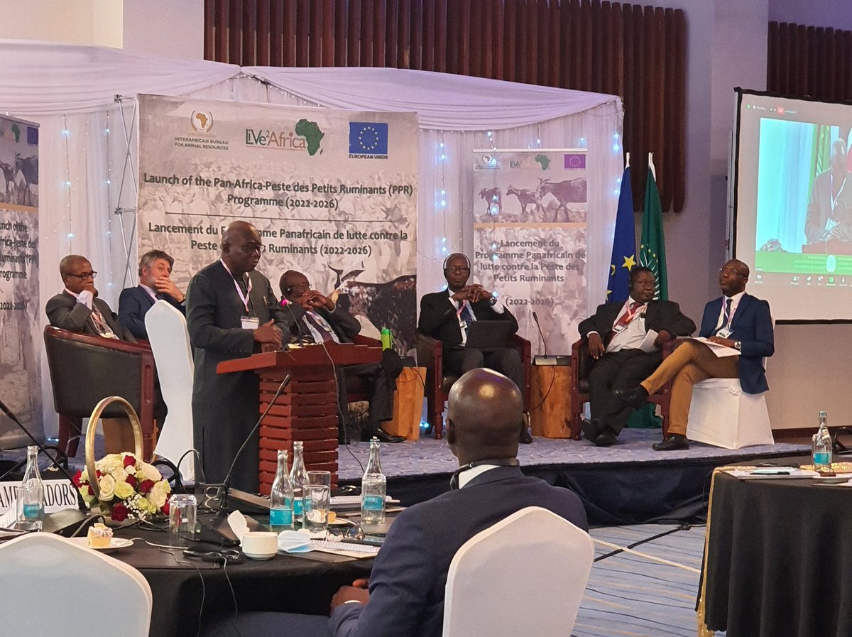 We are currently drawing lessons from a panel of experts/ @au_ibar former directors on lessons & best practices from Rinderpest for the prevention, control & eradication of current & emerging transboundary & zoonotic #animaldiseases