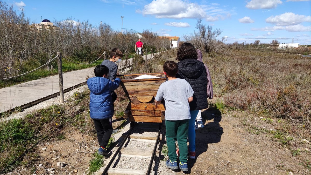 GVAparcs's tweet photo. 🌅En el #PNSalinesSantaPola hemos enseñado a niños, niñas y adolescentes de residencias y hogares del sistema de protección y consejos locales de infancia @GVAinclusio de Villena y San Vicente del Raspeig el funcionamiento de las salinas🌊➕☀️🟰🧂 https://t.co/OioaL9h3Py