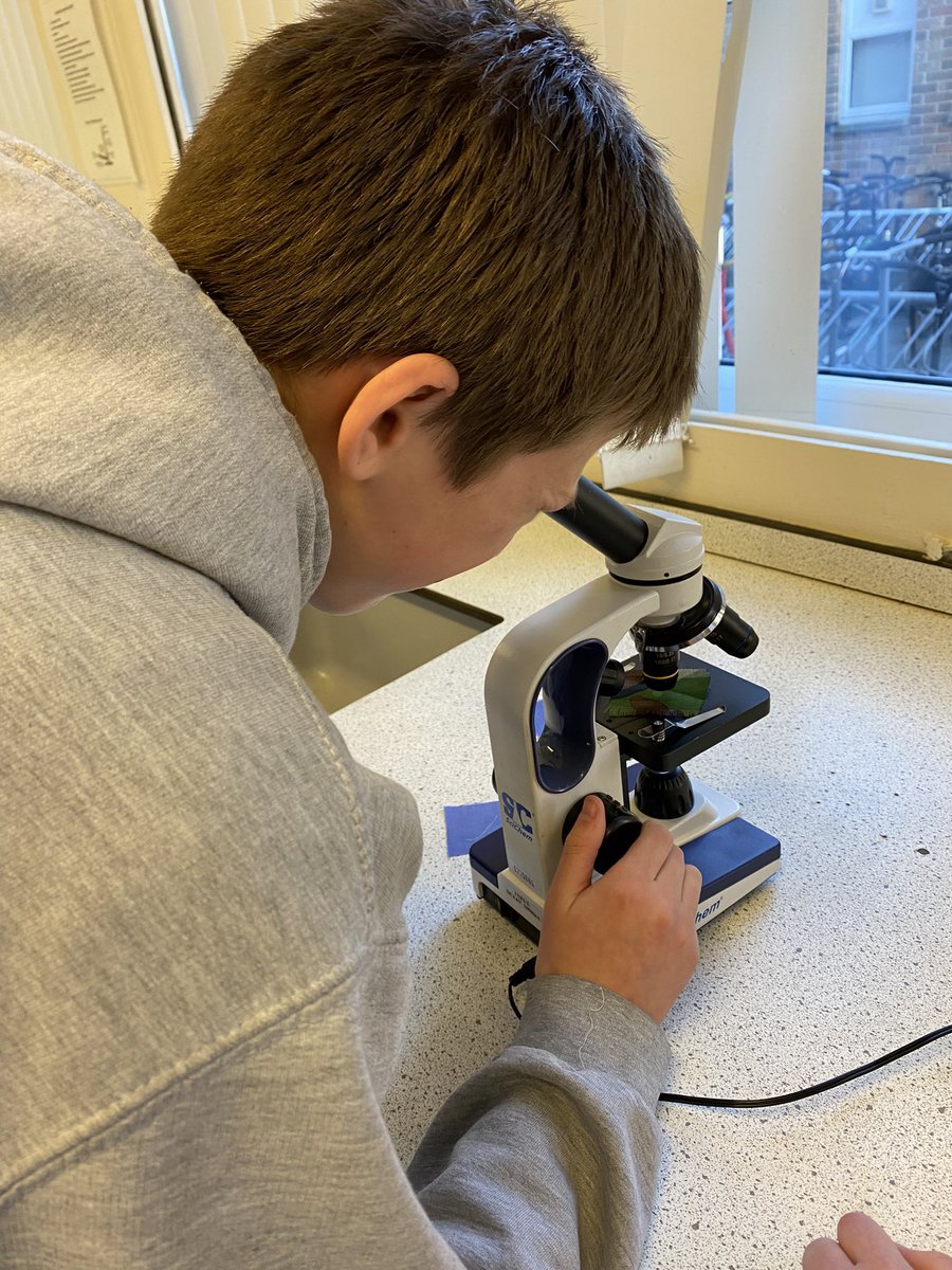 valleygardensnt's tweet photo. The day has begun finding out who committed the crime!! #vgmsyr7 #vgmsstem #BritishScienceWeek2022 https://t.co/eNWah0Lm7q