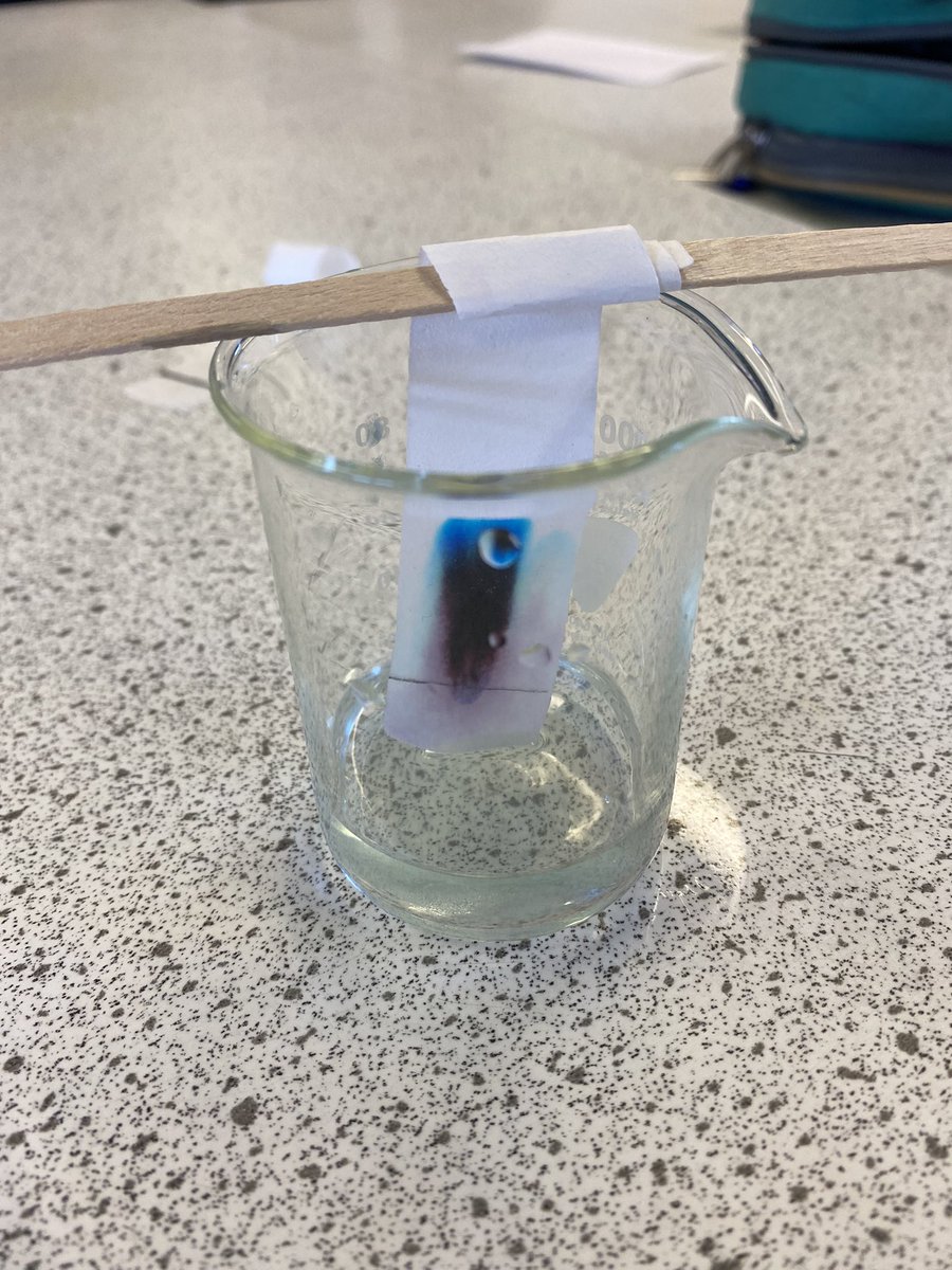 valleygardensnt's tweet photo. The day has begun finding out who committed the crime!! #vgmsyr7 #vgmsstem #BritishScienceWeek2022 https://t.co/eNWah0Lm7q