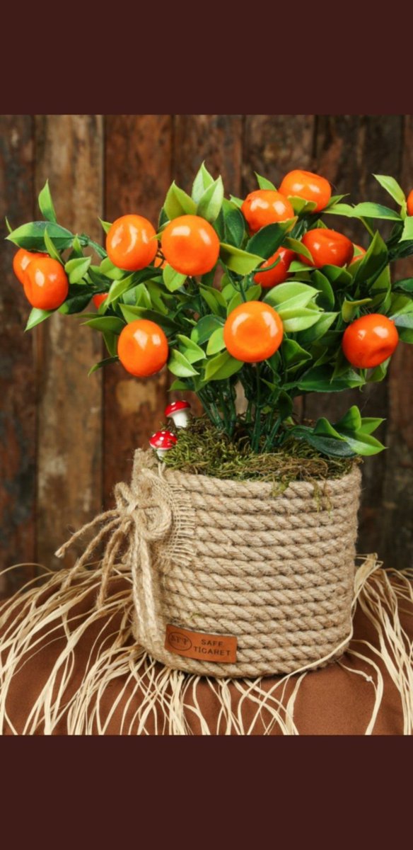 Yapay dekoratif saksılı ağaç ve çiçek 
İnstagram: instagram.com/saffticaret?ut…
#GAMpul #EvlilikHakkındaHerSey #MaddiDurumum #MasumlarApartmanı #BedriYalcınYANINDAYIZ #osmaniyeokuyor #astroloji #15YılOEnce #DoktoraGitMuelteciyeKal #GeldikleriGibiGidecekler #AncaGidersiniz #GSVBARCA